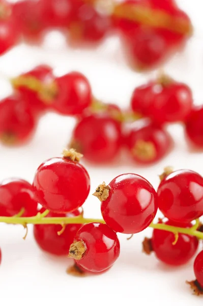Fresh ripe redcurrant isolated on white background — Stock Photo, Image