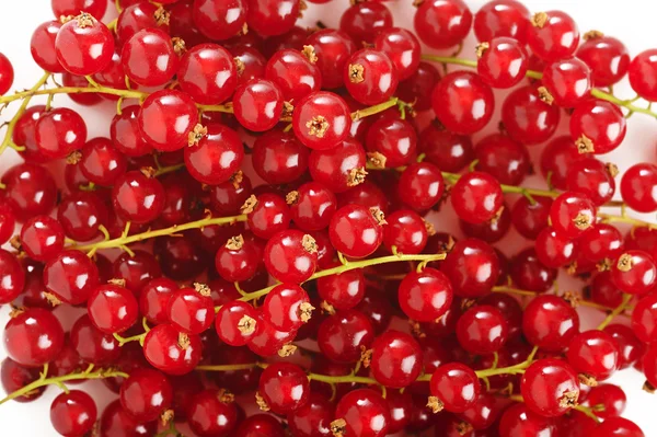 Fresh ripe redcurrant — Stock Photo, Image