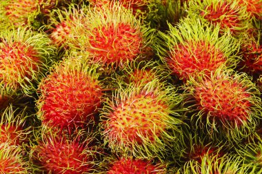 Rambutan meyvelerini yakın çekim