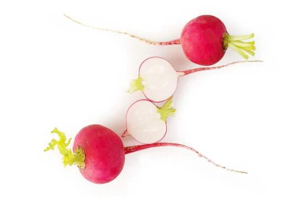 Red radish on white background — Stock Photo, Image