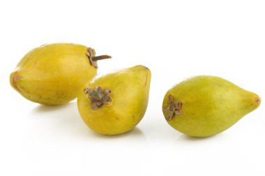 Beyaz üzerine Çin Erik 