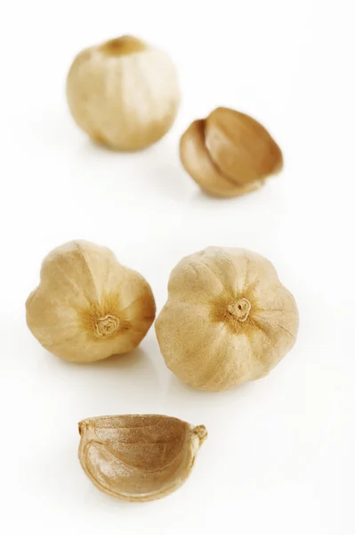 Kardamom semeno na bílém pozadí — Stock fotografie