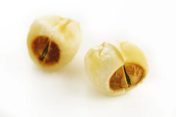 Two lotus seeds on white background — Stock Photo, Image