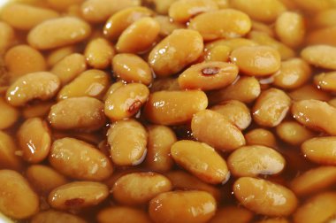  fermente soya fasulyesi tuzlu 