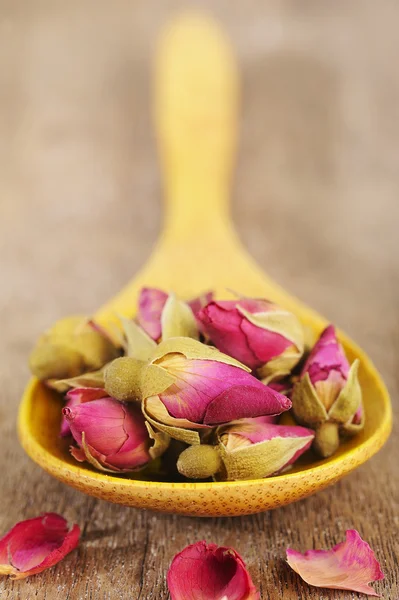 木のスプーンで tea ローズの花 — ストック写真