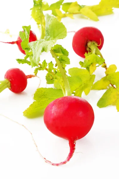 Red radish — Stock Photo, Image