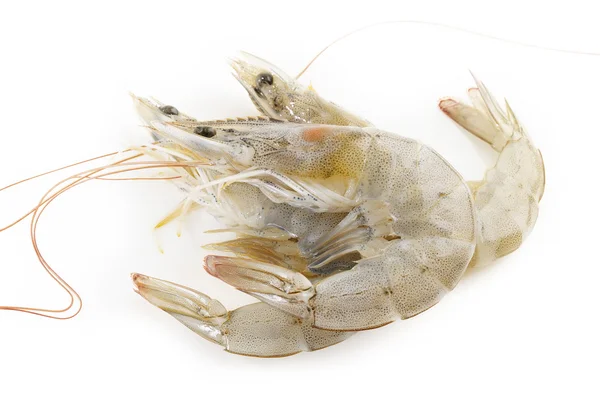 Raw Shrimps on white background — Stock Photo, Image