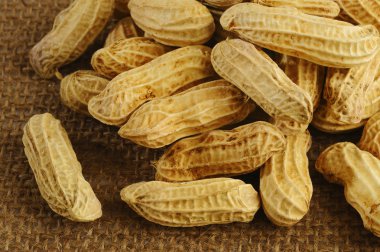 Fıstık kahverengi çuval arka plan üzerinde