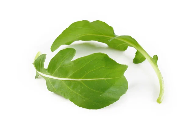 Rucola lämnar på vit bakgrund — Stockfoto