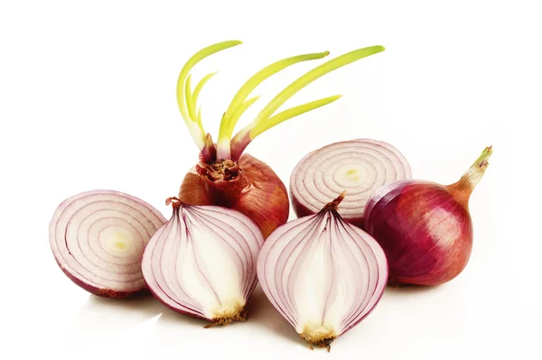 Onion — Stock Photo, Image