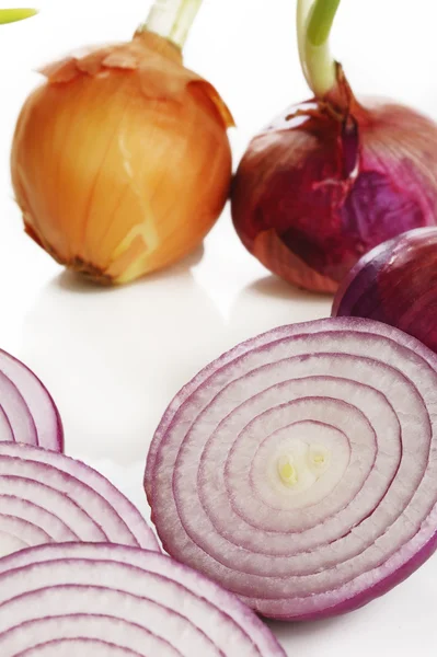 Rote in Scheiben geschnittene Zwiebeln und Sprossen Zwiebeln — Stockfoto