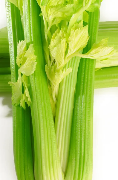 新鲜绿色芹菜 — 图库照片