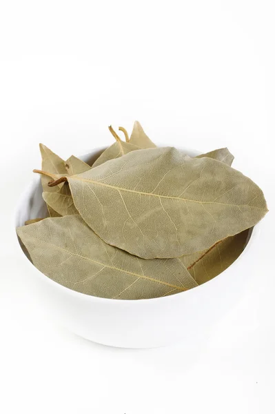 Dry bay leaf in white bowl — Stock Photo, Image