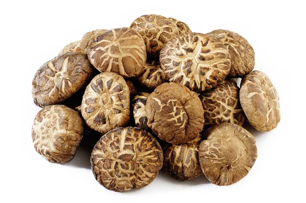 Cogumelos shiitake secos no fundo branco — Fotografia de Stock