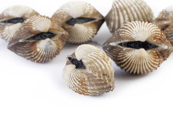 Cockles — Stock Photo, Image