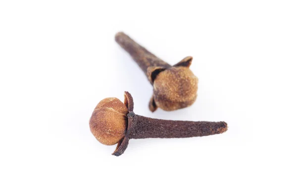 Clove — Stock Photo, Image