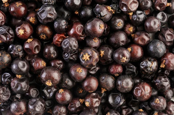 Ardıç meyveleri arka plan