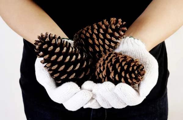 Hand hält Tannenzapfen — Stockfoto