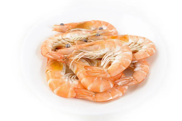 Boiled black tiger prawn — Stock Photo, Image