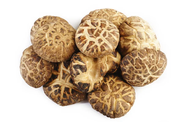 Getrocknete Shiitake-Pilze auf weißem Hintergrund — Stockfoto