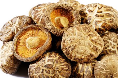 yığın kuru mantar beyaz