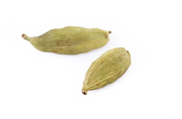 Filtros de cardamão — Fotografia de Stock