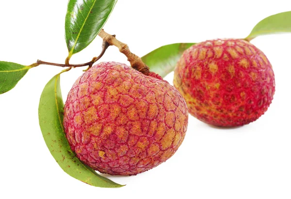 Fresh lychees on white background — Stock Photo, Image