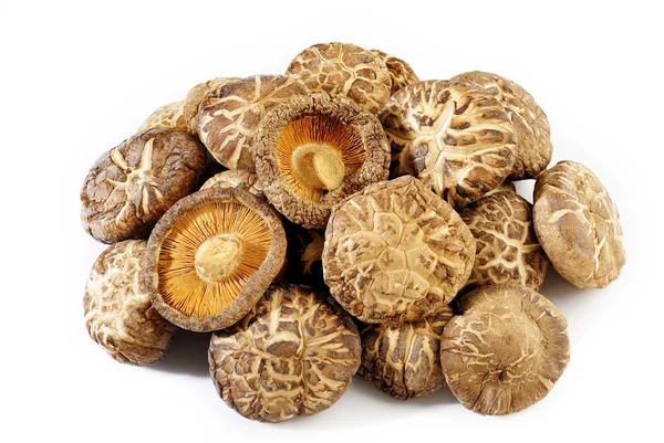 Dried shiitake mushrooms on white background — Stock Photo, Image