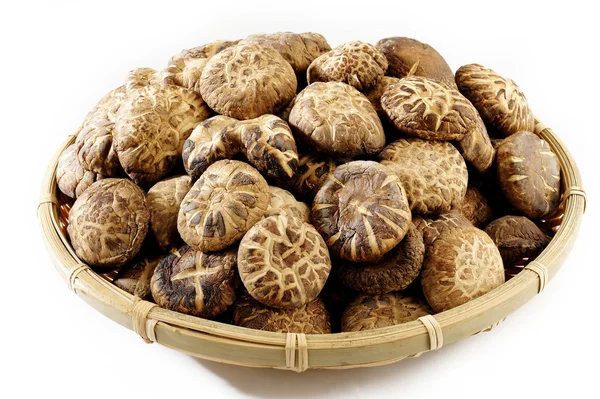 Champiñones shiitake secos en cesta — Foto de Stock