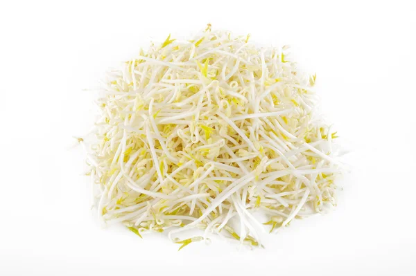 Bean sprout op witte achtergrond — Stockfoto