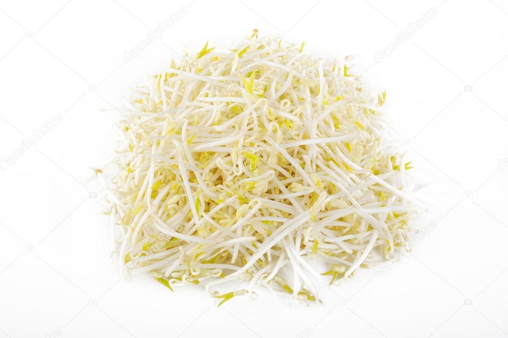 bean sprout on white background