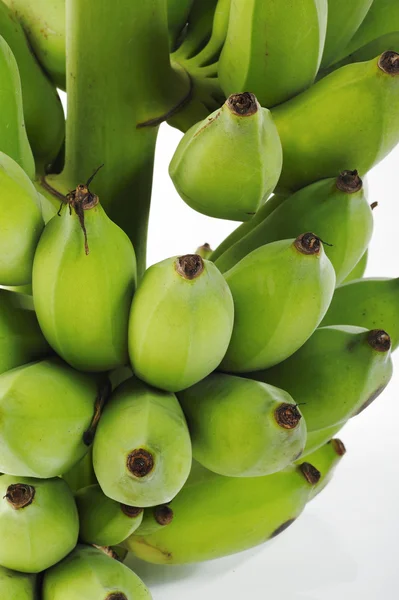 Close up of green bananas — Stock Photo, Image