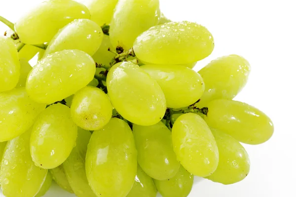 Cerca de uva verde húmeda —  Fotos de Stock