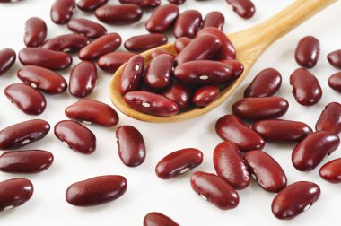 red beans seed clipart