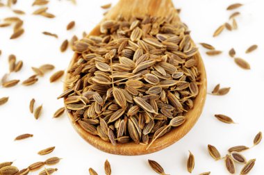 kaşık dere otu tohumu