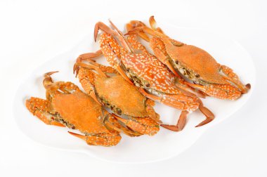 bir plaka üzerinde dört buharda pişmiş Yengeç