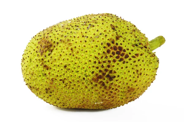 Breadfruit on white background — Stock Photo, Image