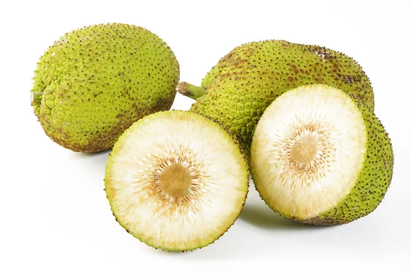 Breadfruit — Stock fotografie