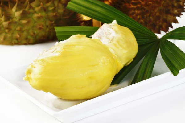 Monthong durian seed — Stock Photo, Image