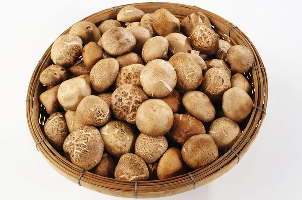 Shiitake mushrooms in basket — Stock Photo, Image