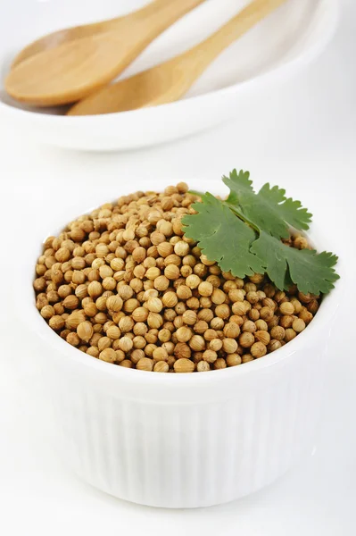 Coriander seeds in a cup — Stock Photo, Image