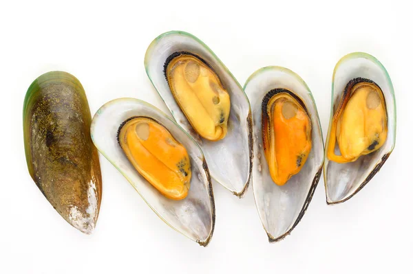 Group of mussels — Stock Photo, Image