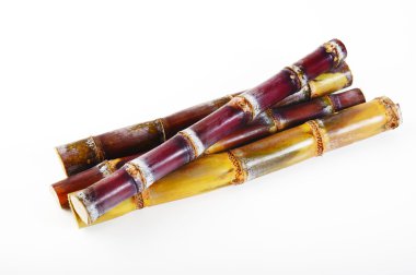 Beyaz şeker kamışı