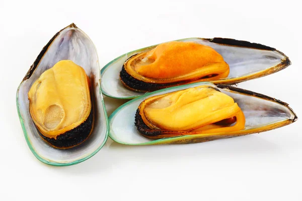 Tres mejillones sobre fondo blanco — Foto de Stock