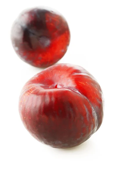 Fruit de prune rouge sur blanc — Photo