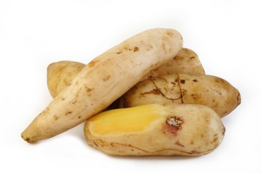 Beyaz arka plan üzerinde Yacon kök