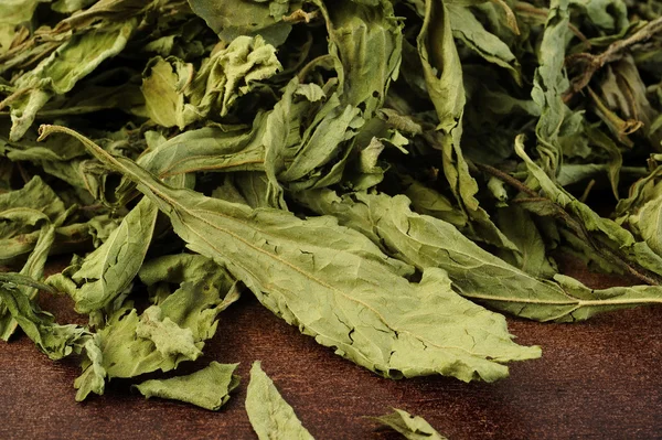 Kurutulmuş Stevia — Stok fotoğraf