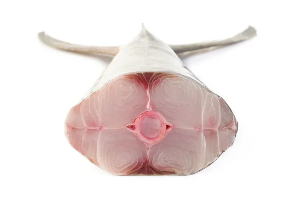 Koningsmakreel vis — Stockfoto