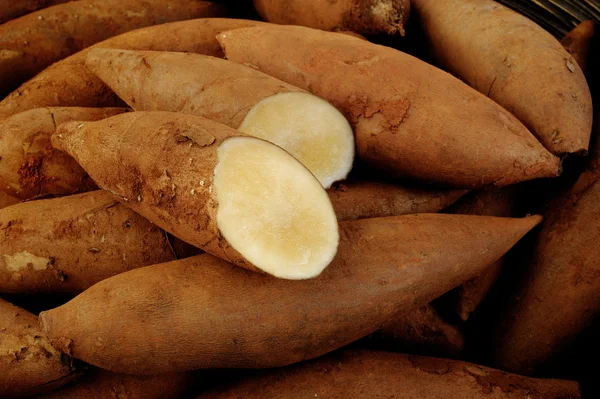 Raízes de Yacon — Fotografia de Stock