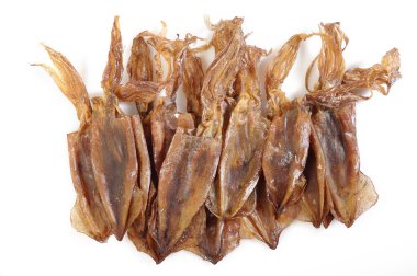 beyaz arkaplanda kalamar